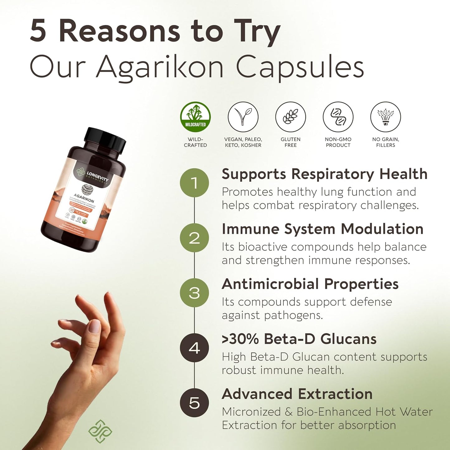 Ultra Concentrated Wildcrafted Agarikon Mushroom Capsules for Immune Support - 100% Fruiting Body Supplement - 120 Capsules