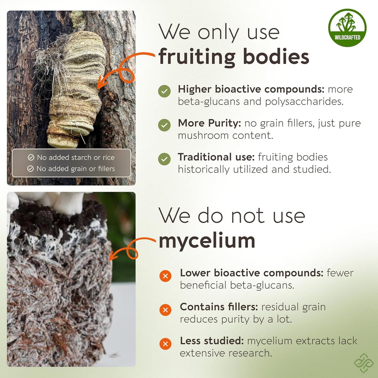 Ultra Concentrated Wildcrafted Agarikon Mushroom Capsules for Immune Support - 100% Fruiting Body Supplement - 120 Capsules