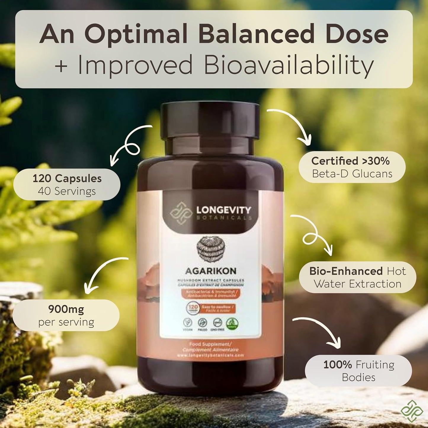 Ultra Concentrated Wildcrafted Agarikon Mushroom Capsules for Immune Support - 100% Fruiting Body Supplement - 120 Capsules