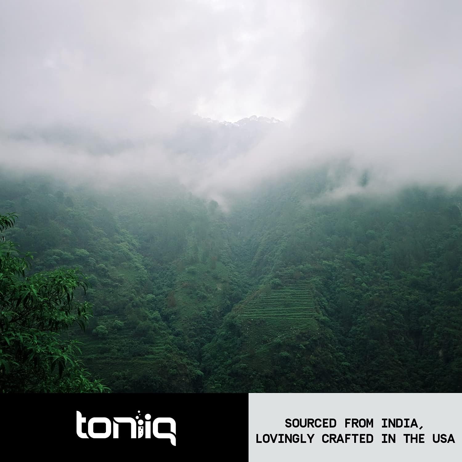 Ultra High Potency 4:1 Extract Valerian Root Capsules - Third-Party Lab Tested - 120 Capsules