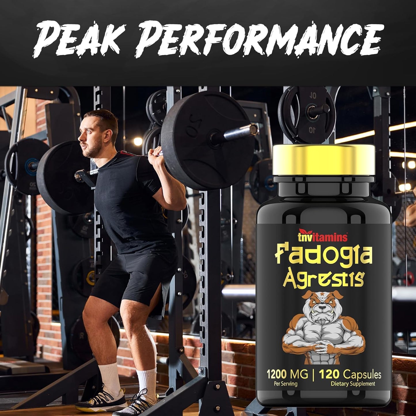 Ultra-Potent Fadogia Agrestis Extract Supplement for Men - 120 Capsules, 1200mg - Energy, Power, Strength, Athletic Performance - Non-GMO - Made in the USA by tnvitamins