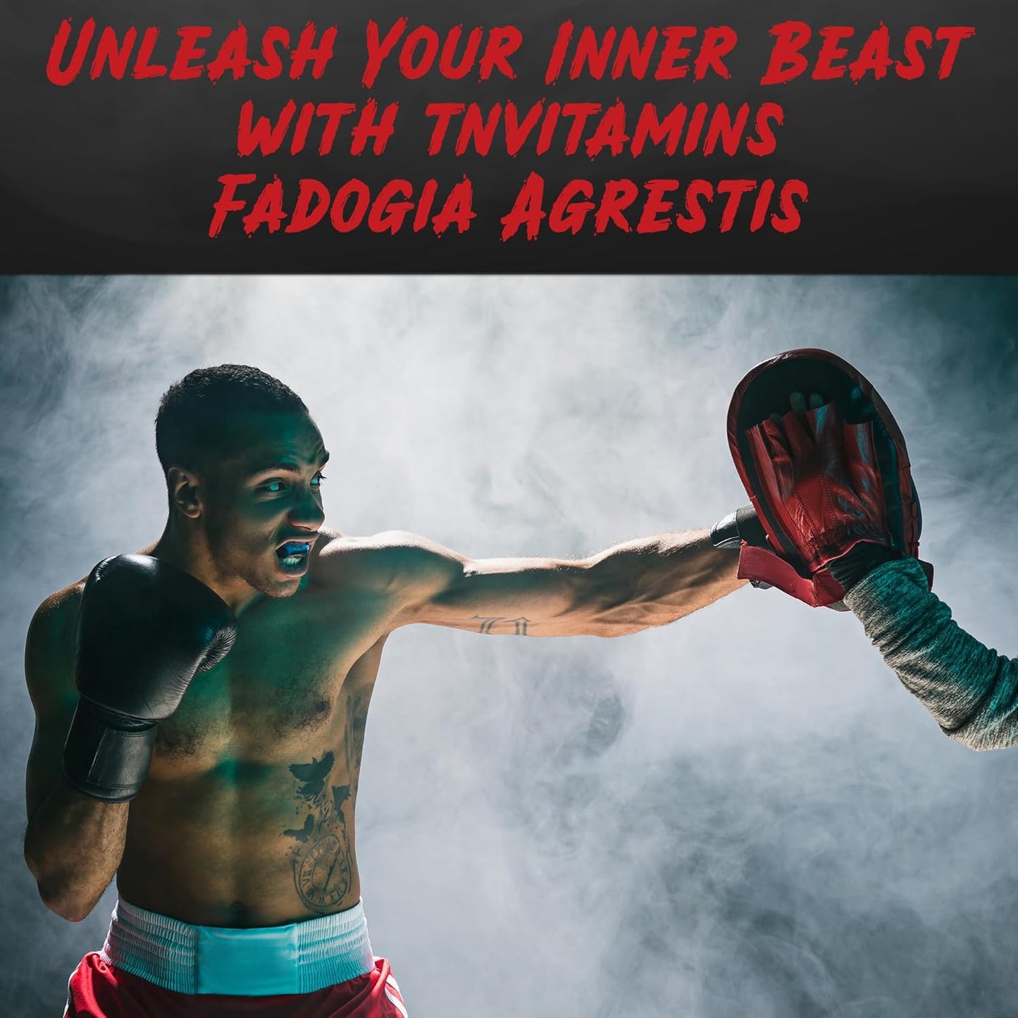 Ultra-Potent Fadogia Agrestis Extract Supplement for Men - 120 Capsules, 1200mg - Energy, Power, Strength, Athletic Performance - Non-GMO - Made in the USA by tnvitamins