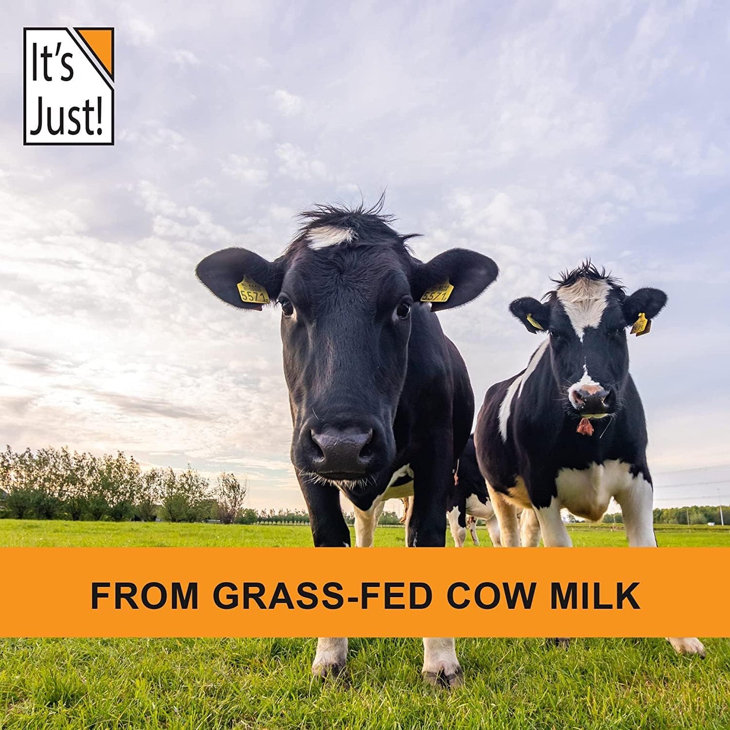Ultra Premium Grass-Fed Whey Protein Isolate, Unflavored, 90% Protein, USA-Made, rBGH/RBST-Free, 3lb - Low Carb, No Added Sugar