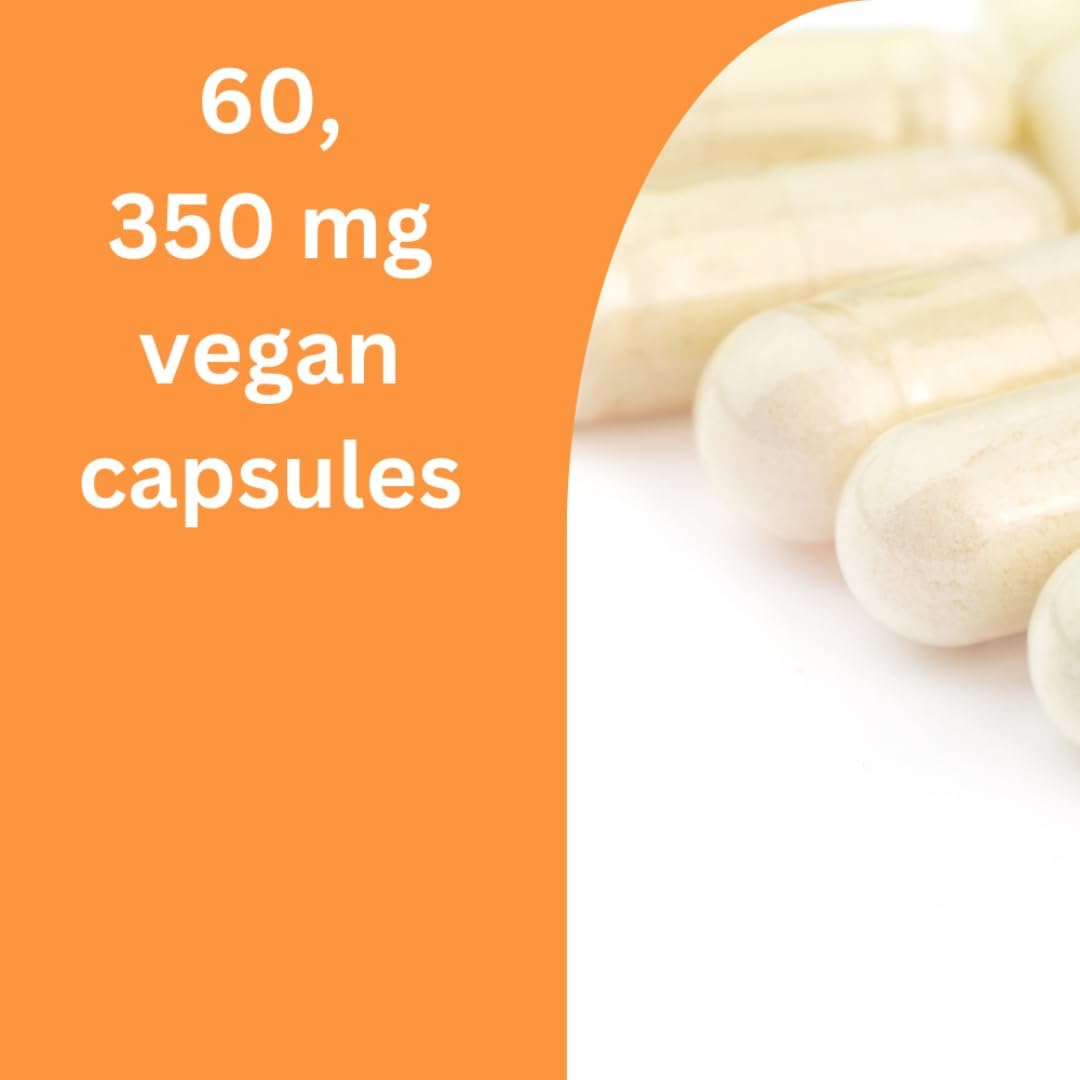 Ultra Pure NR (Nicotinamide Riboside) Capsules - 350mg | Anti-Aging NAD Booster | Supports Cellular Energy, Repair & Protection | Vegan, Gluten-Free & Non-GMO | 60 Count