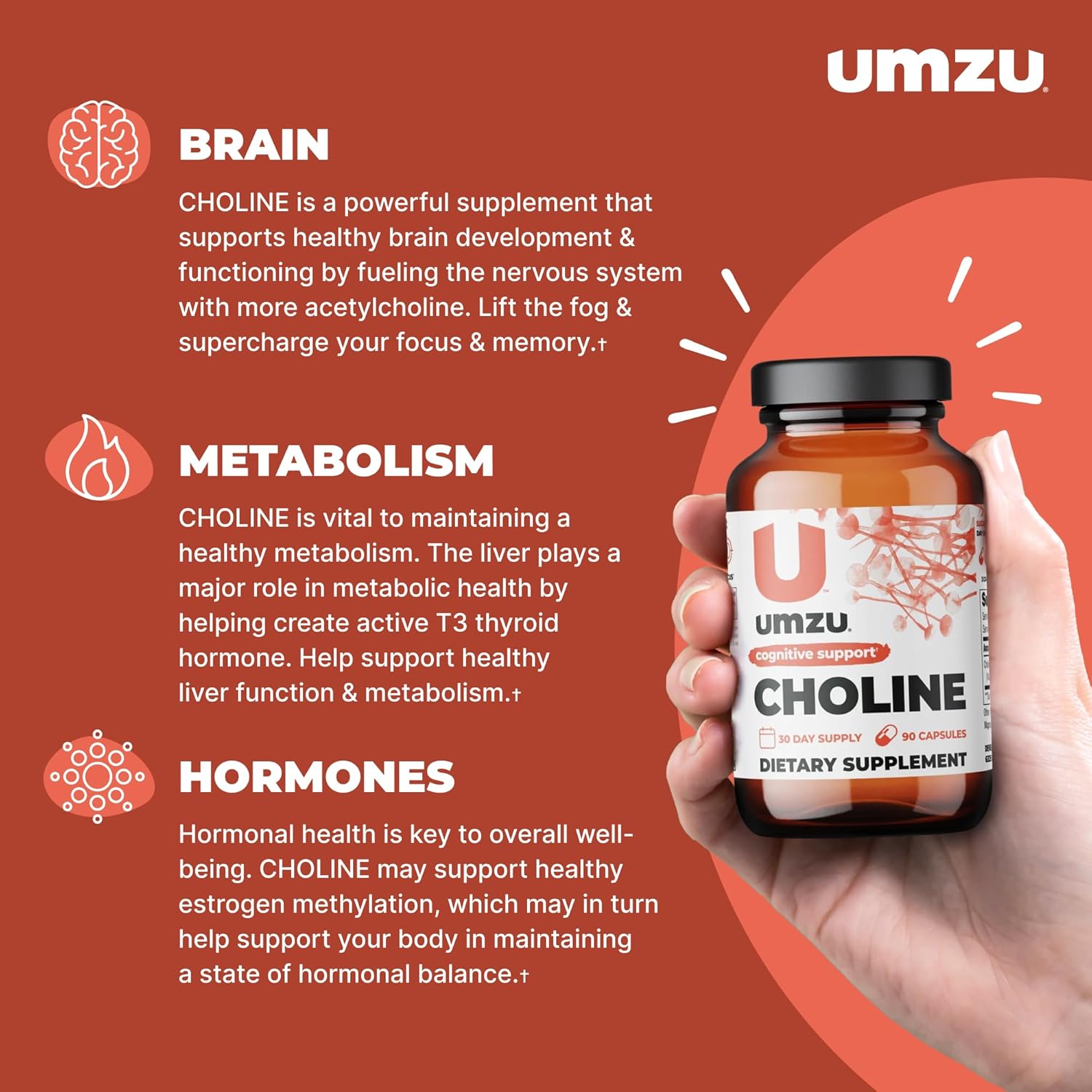UMZU Choline Supplement - Boost Cognitive Function, Hormone Balance & Liver Health - Acetylcholine Enhancer for Focus, Memory & Metabolism - 30 Day Supply (90 Capsules)