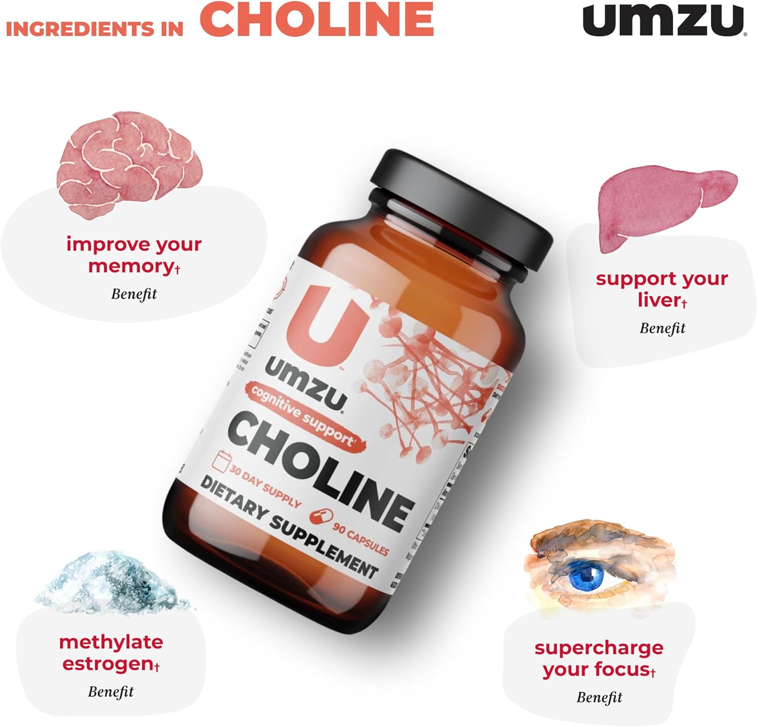 UMZU Choline Supplement - Boost Cognitive Function, Hormone Balance & Liver Health - Acetylcholine Enhancer for Focus, Memory & Metabolism - 30 Day Supply (90 Capsules)