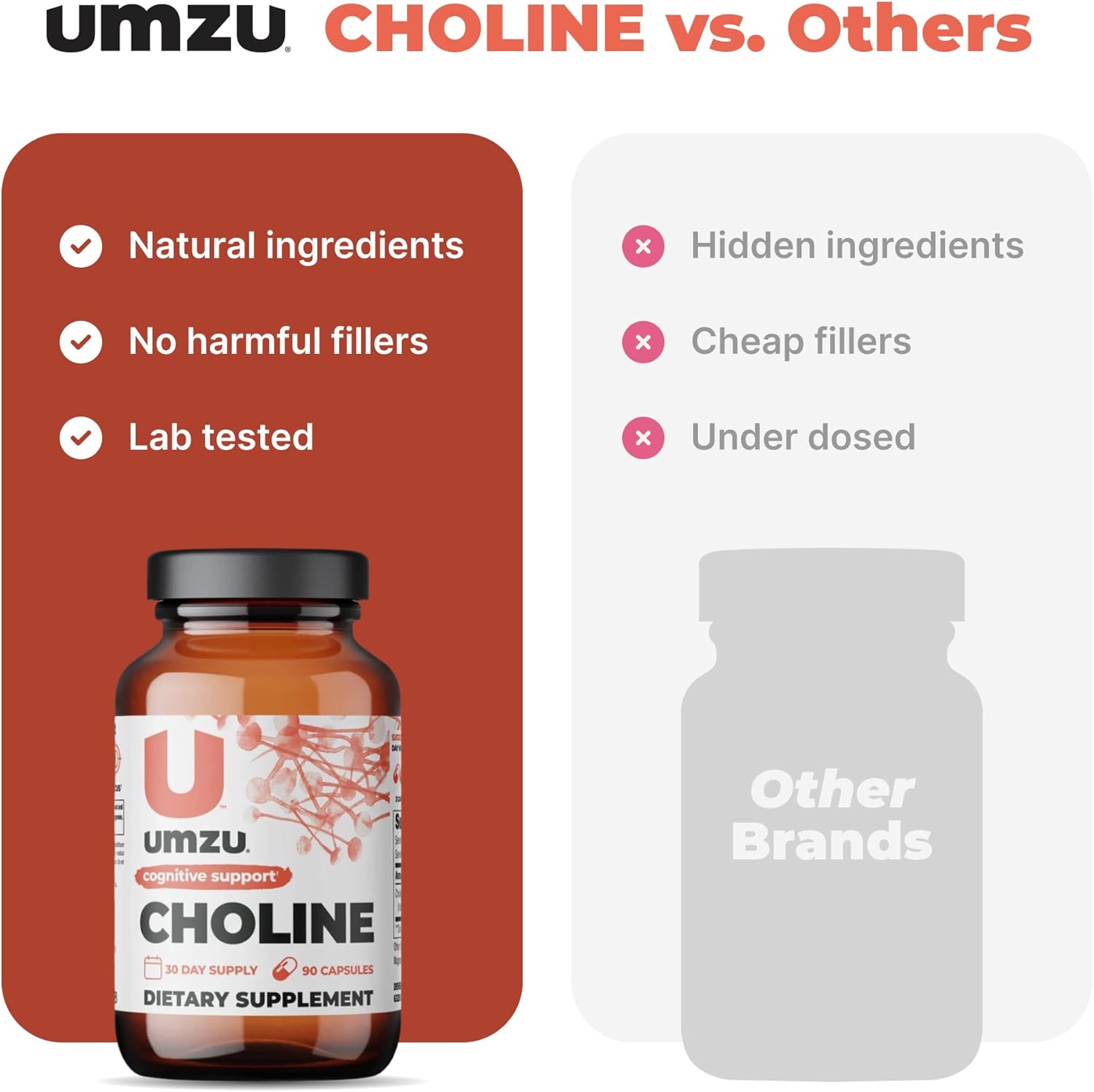 UMZU Choline Supplement - Boost Cognitive Function, Hormone Balance & Liver Health - Acetylcholine Enhancer for Focus, Memory & Metabolism - 30 Day Supply (90 Capsules)