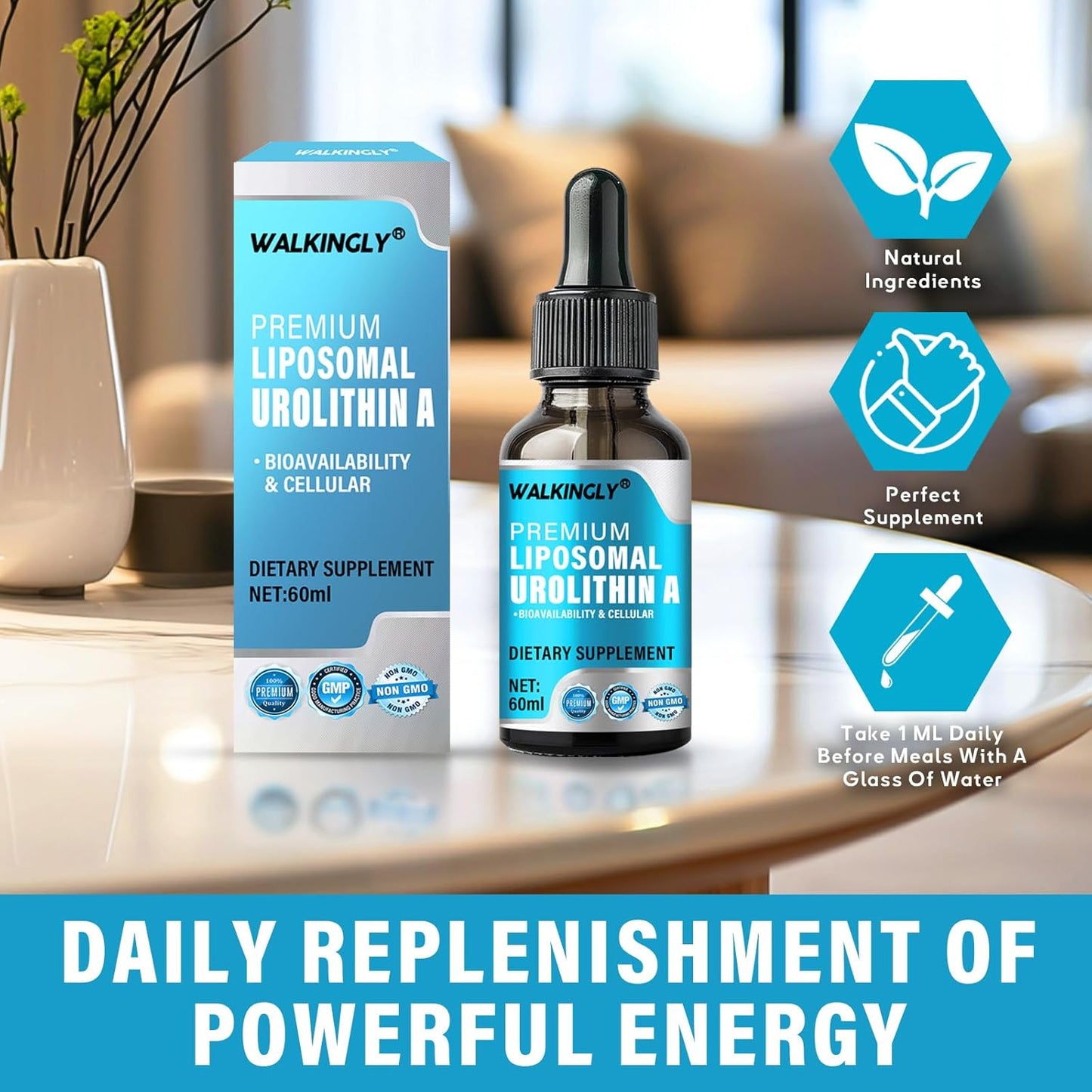 Urolithin A Liquid Drops Supplement - 3000mg High Strength Formula for Walking