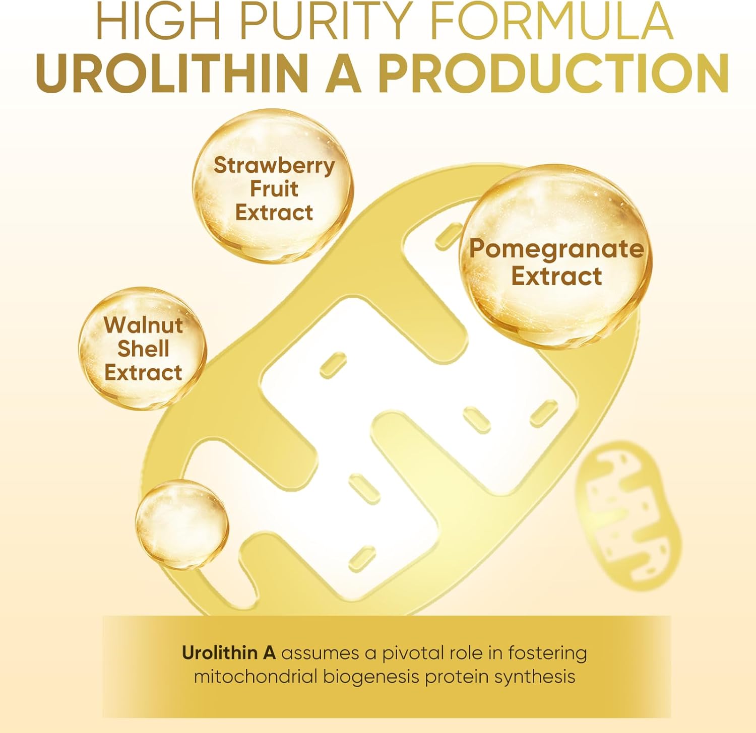 Urolithin A+ Softgels 1000MG, 90 Count, Made in USA for Advanced Cellular Health & Vitality
