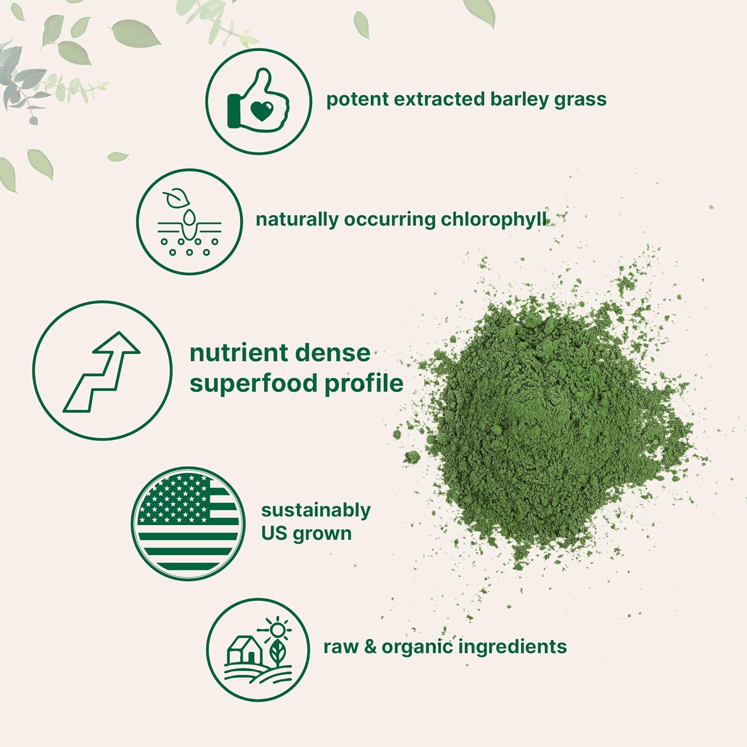 US Grown Organic Barley Grass Powder - 16 Ounces | Rich in Vitamins, Minerals, Antioxidants | Superfood Greens Mix for Immune Health | Non-GMO | Digestion Support - BoostGo Australia