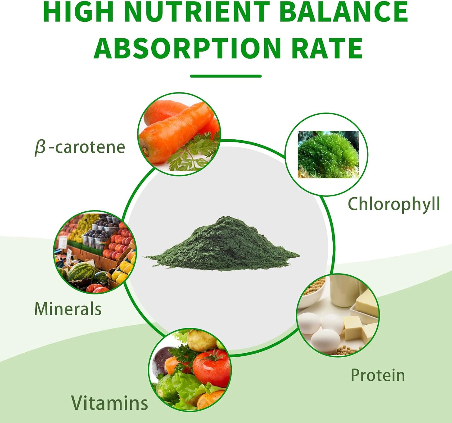 USDA Certified Elite Nutrient Organic Spirulina Powder - Non-GMO Superfood for Energy and Immunity - High Protein - Individual Packets