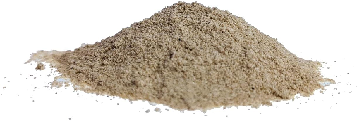 USDA Certified Organic 11 Mushroom Powder for Immunity & Energy - Lion's Mane, Reishi, Cordyceps, and More - No Fillers - Vitalité Now!