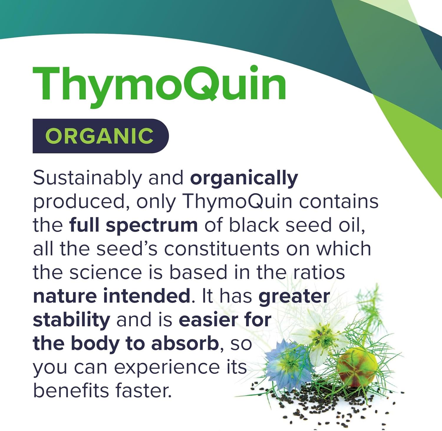 USDA Certified Organic Cold-Pressed Black Seed Oil with 3% Thymoquinone for Immune, Skin, and Joint Health