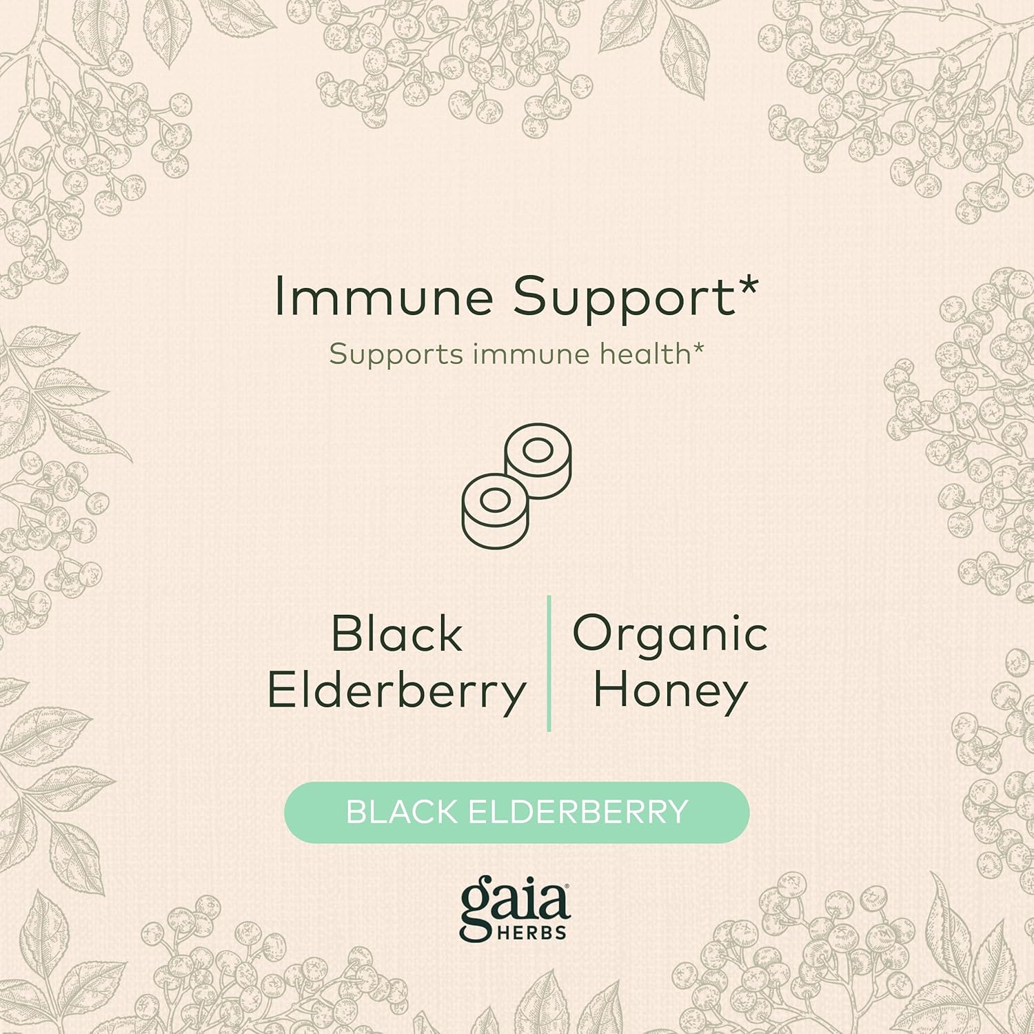 USDA Certified Organic Immune Support Lozenges with Vitamin C, Zinc, Eucalyptus Flavor - 3 Pack, 72 Count - Gaia Herbs