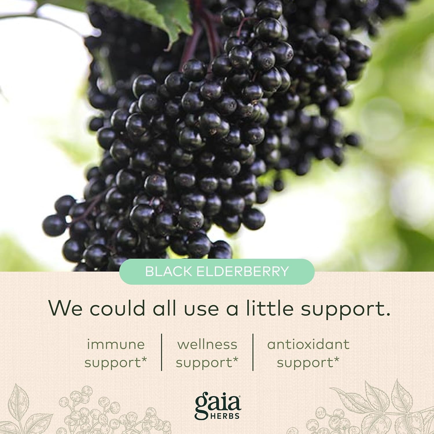 USDA Certified Organic Immune Support Lozenges with Vitamin C, Zinc, Eucalyptus Flavor - 3 Pack, 72 Count - Gaia Herbs