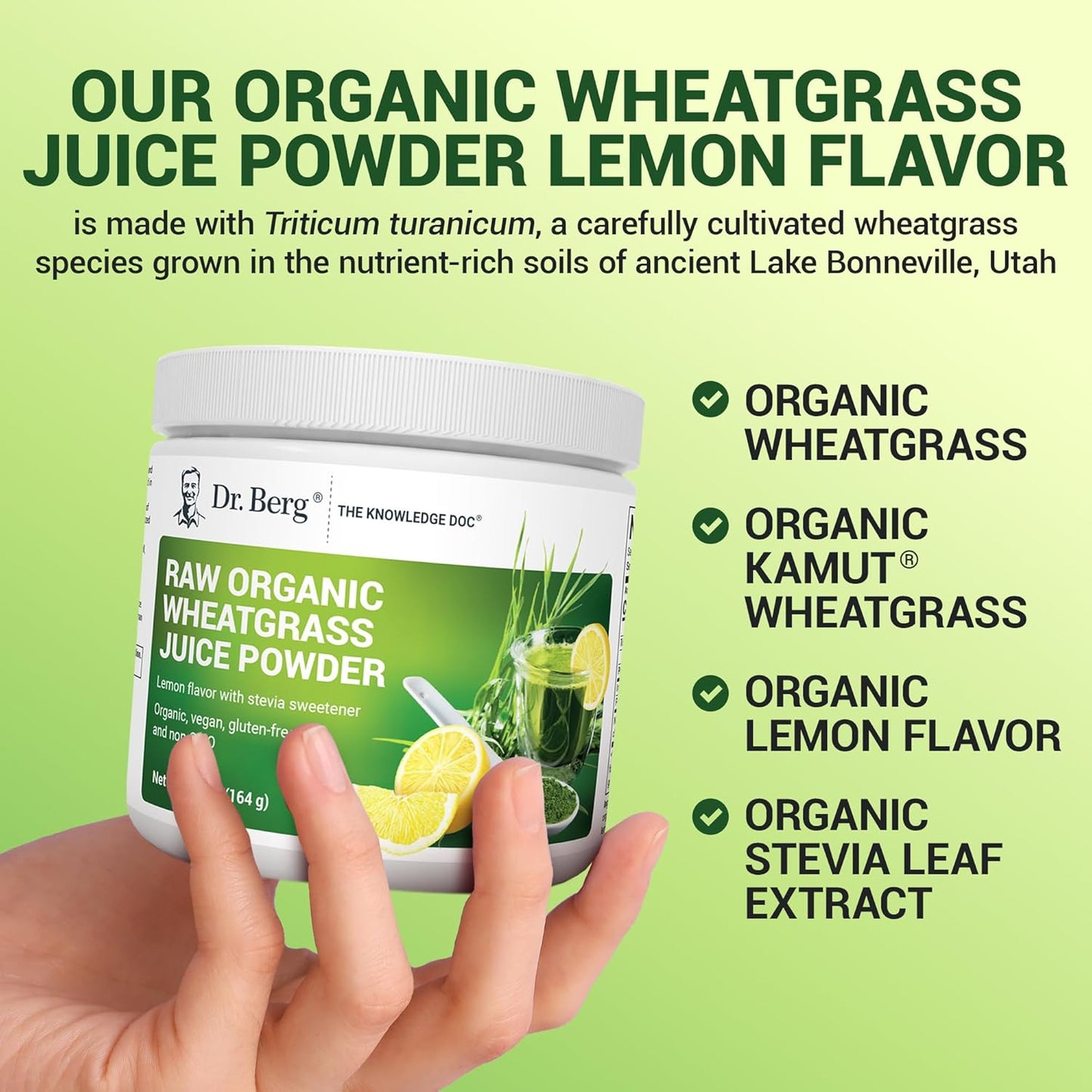 USDA Certified Organic Lemon Flavored Wheatgrass Juice Powder - 60 Servings - Rich in Chlorophyll, Trace Minerals, and Enzymes - 3 Pack of Ultra-Concentrated Dr. Berg Nutritionals Powder