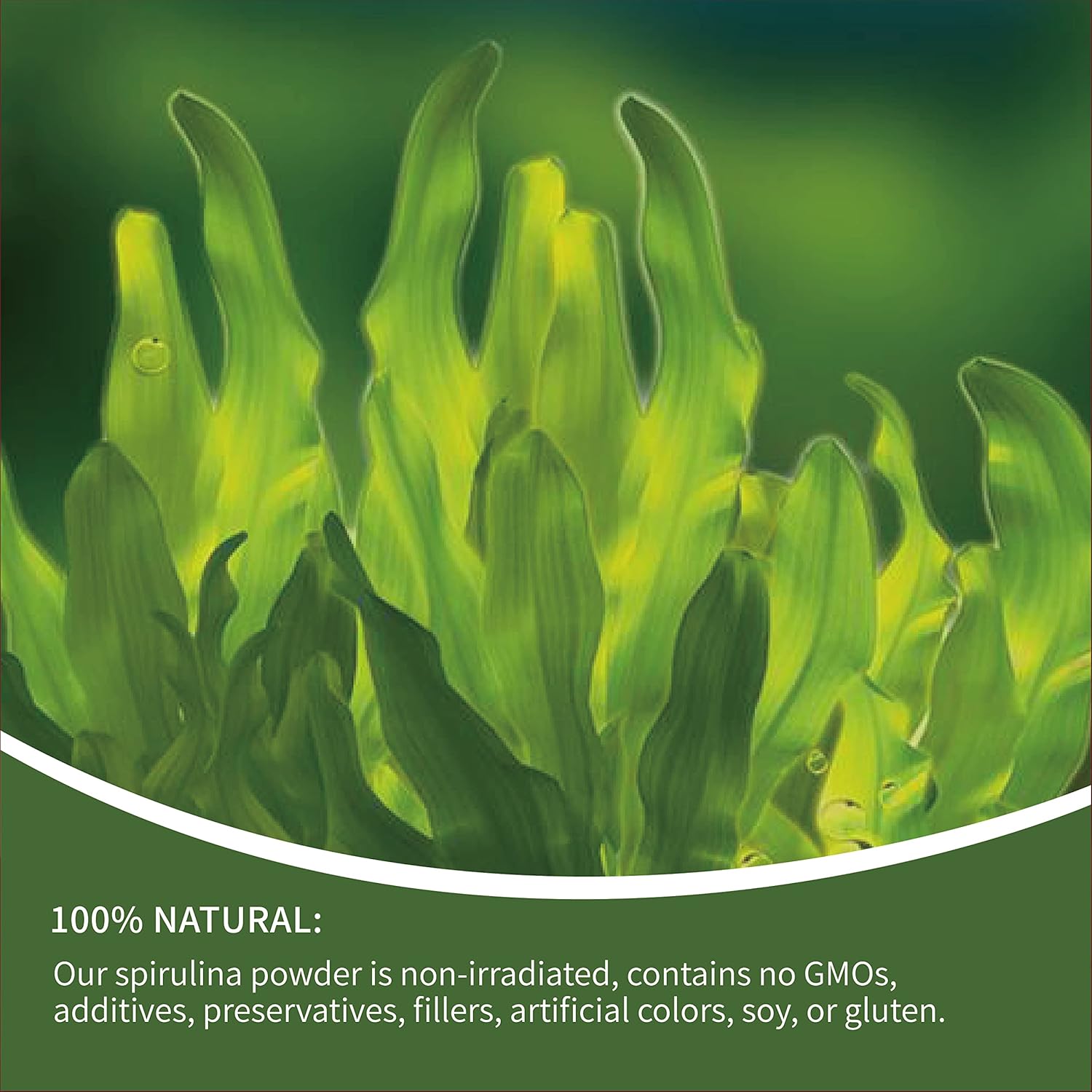 USDA Certified Organic Spirulina Powder - Non-GMO Green Superfood with High Protein & Antioxidants - 1 lb Pack