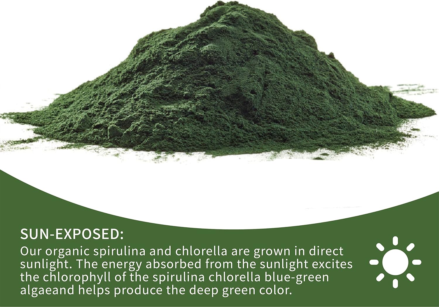 USDA Certified Organic Spirulina Powder - Non-GMO Green Superfood with High Protein & Antioxidants - 1 lb Pack