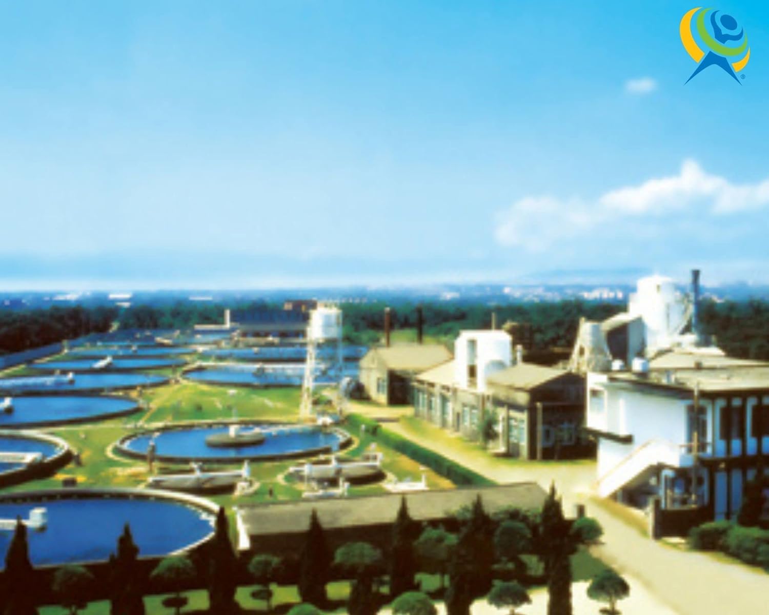 USDA Organic Chlorella Tablets for Immune System Boosting - 1000 Tablets for Athletic Performance & Recovery - Premium Quality - BoostGo Australia