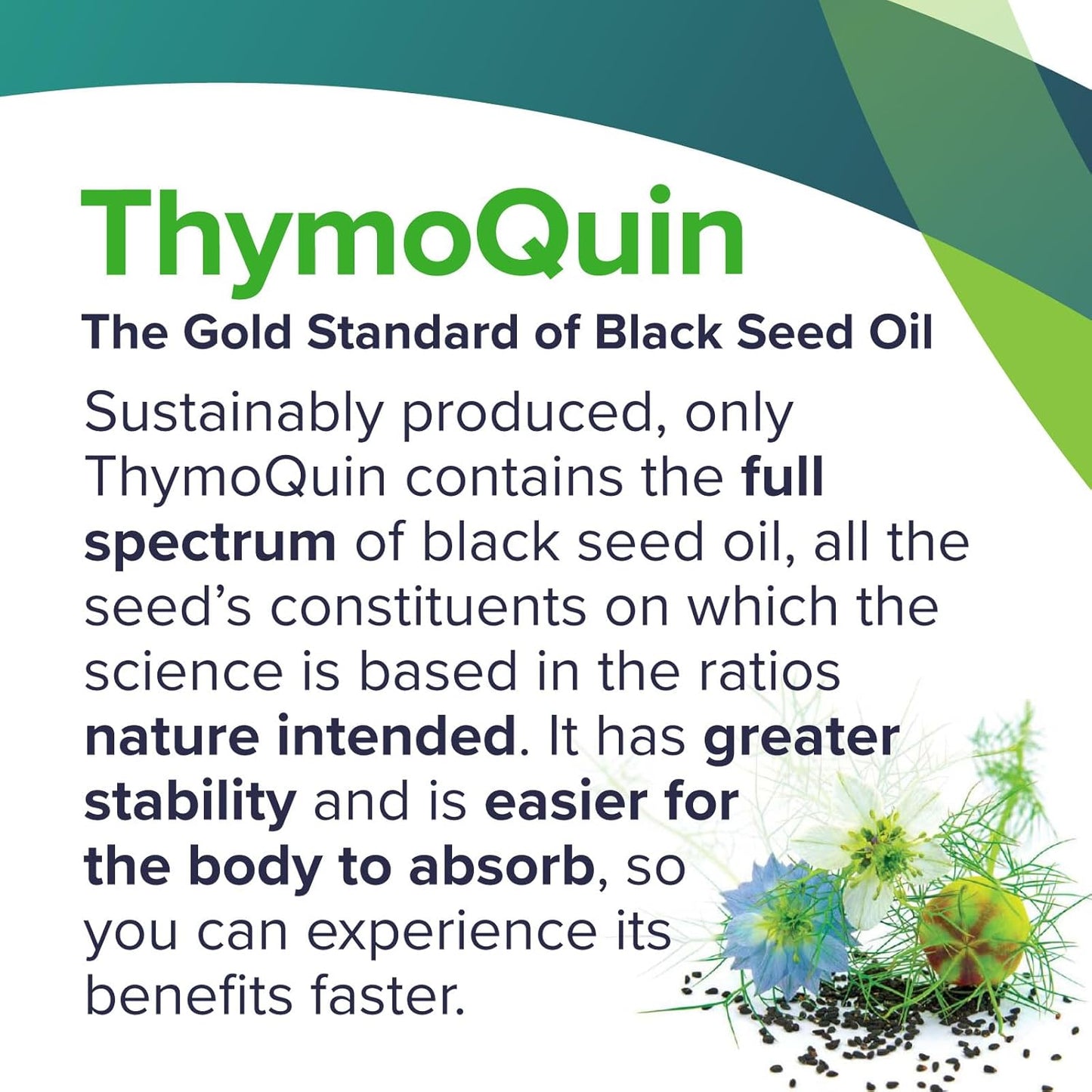 USP-Grade Cold Pressed Black Seed Oil with 3% Thymoquinone for Immunity, Skin & Joint Health - 2 Pack