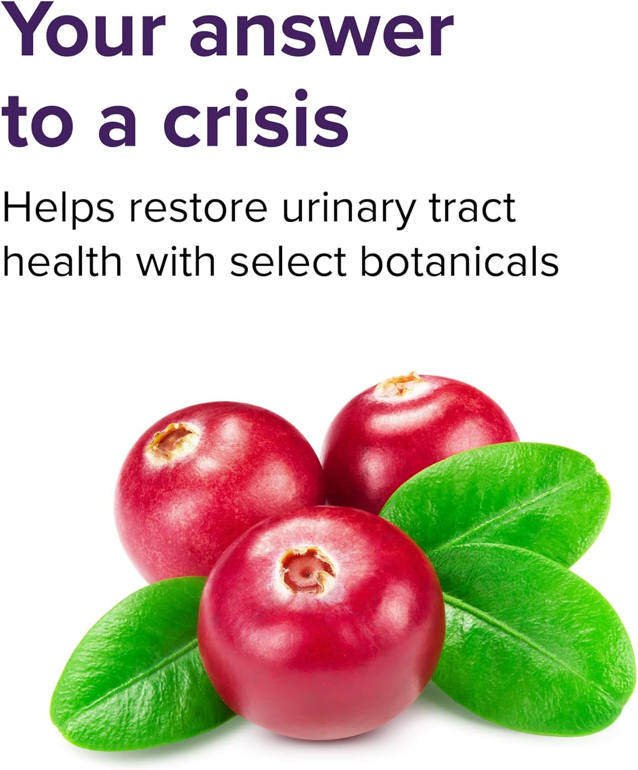 U.T. Vibrance Powder for Vibrant Urinary Tract Health, 10 Servings