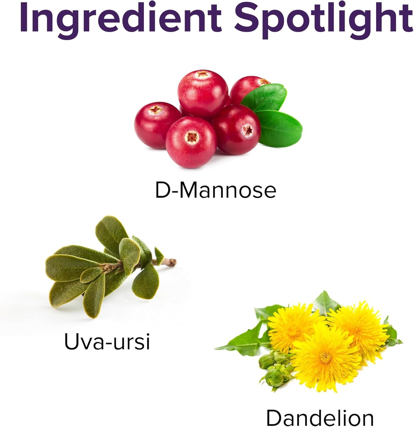 U.T. Vibrance Powder for Vibrant Urinary Tract Health, 10 Servings