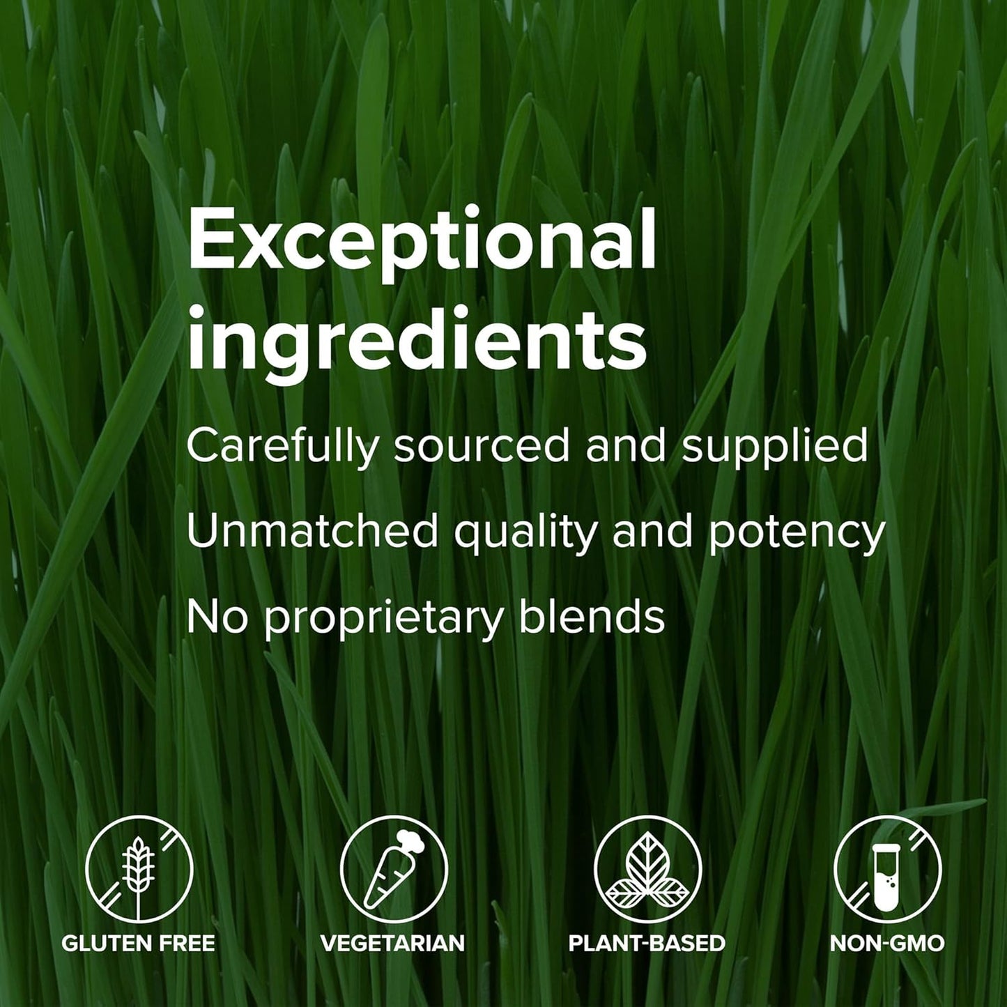 U.T. Vibrance Powder for Vibrant Urinary Tract Health, 10 Servings