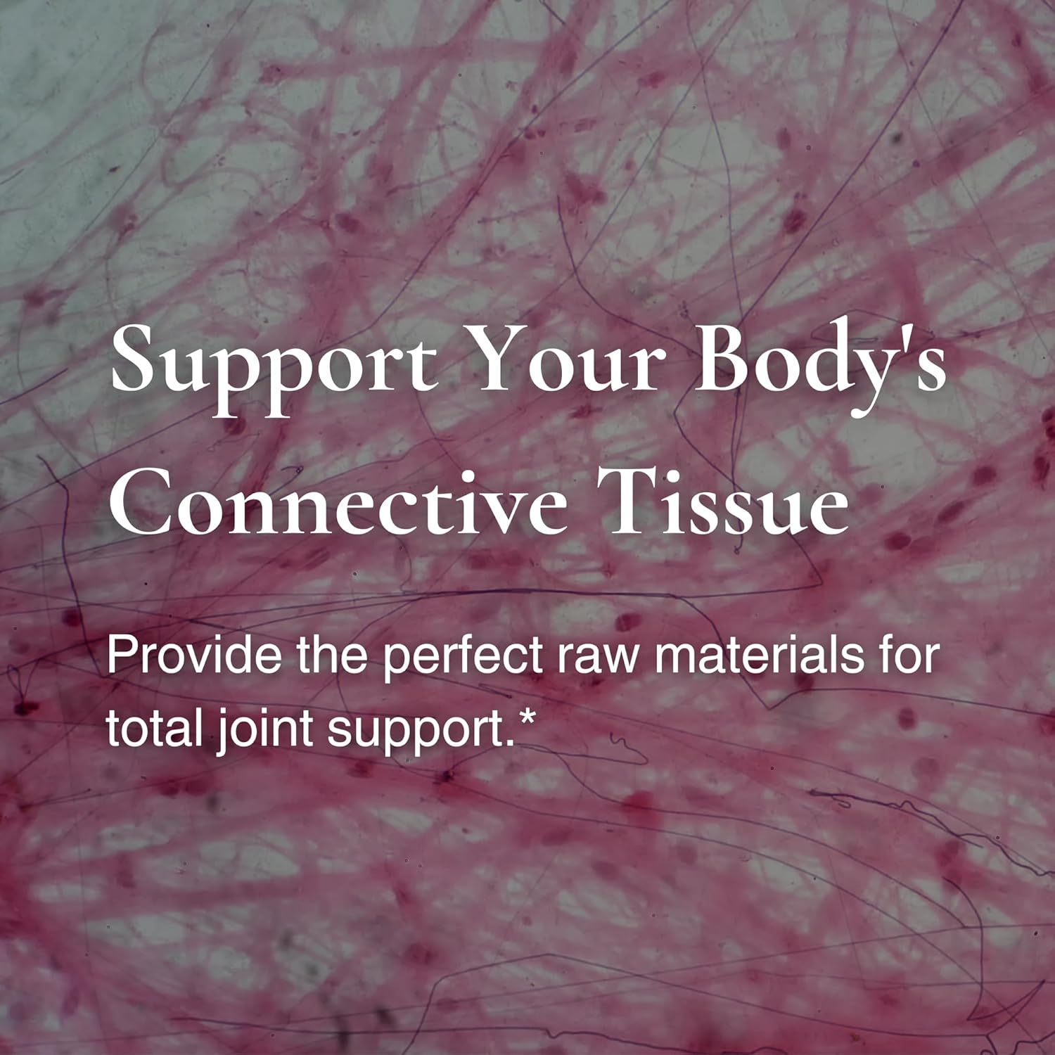 Utzy Naturals Coll-U-Gen Joint Support Supplement Powder | Fortified with UC-II® & Fortigel® | Unflavored | 30 Servings - BoostGo Australia