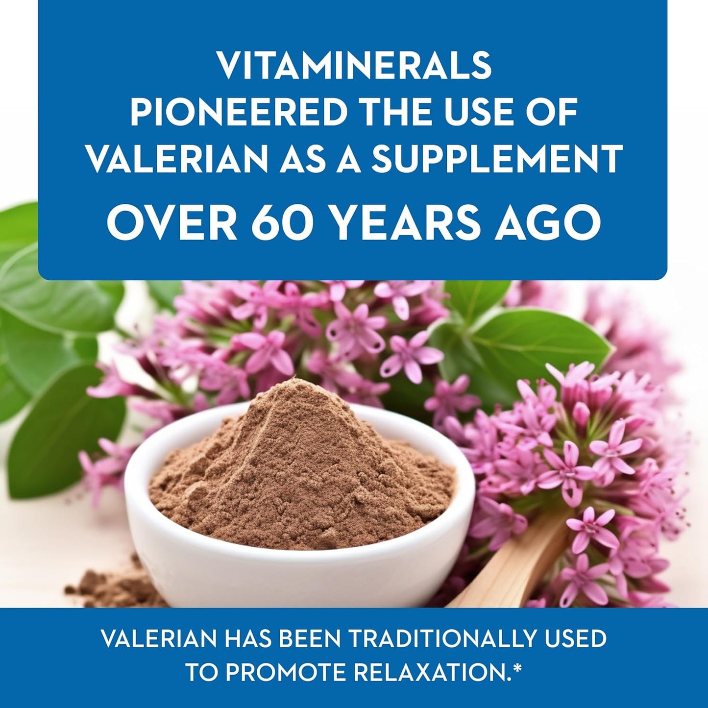 Valerian Extract Supplement for Natural Relaxation Support (120 Capsules)