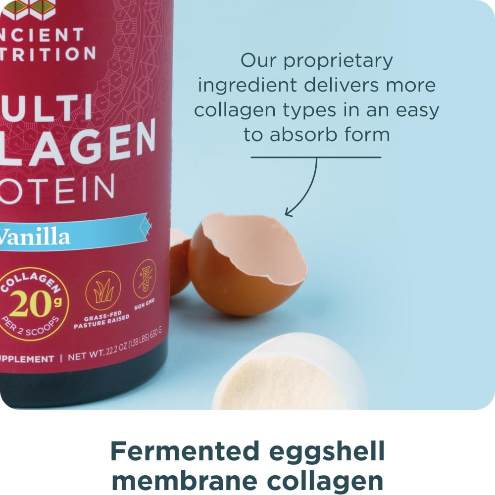 Vanilla Ancient Nutrition Multi Collagen Protein Powder with Probiotics & Vitamin C - Supports Skin, Nails, and Gut Health (60 Servings)
