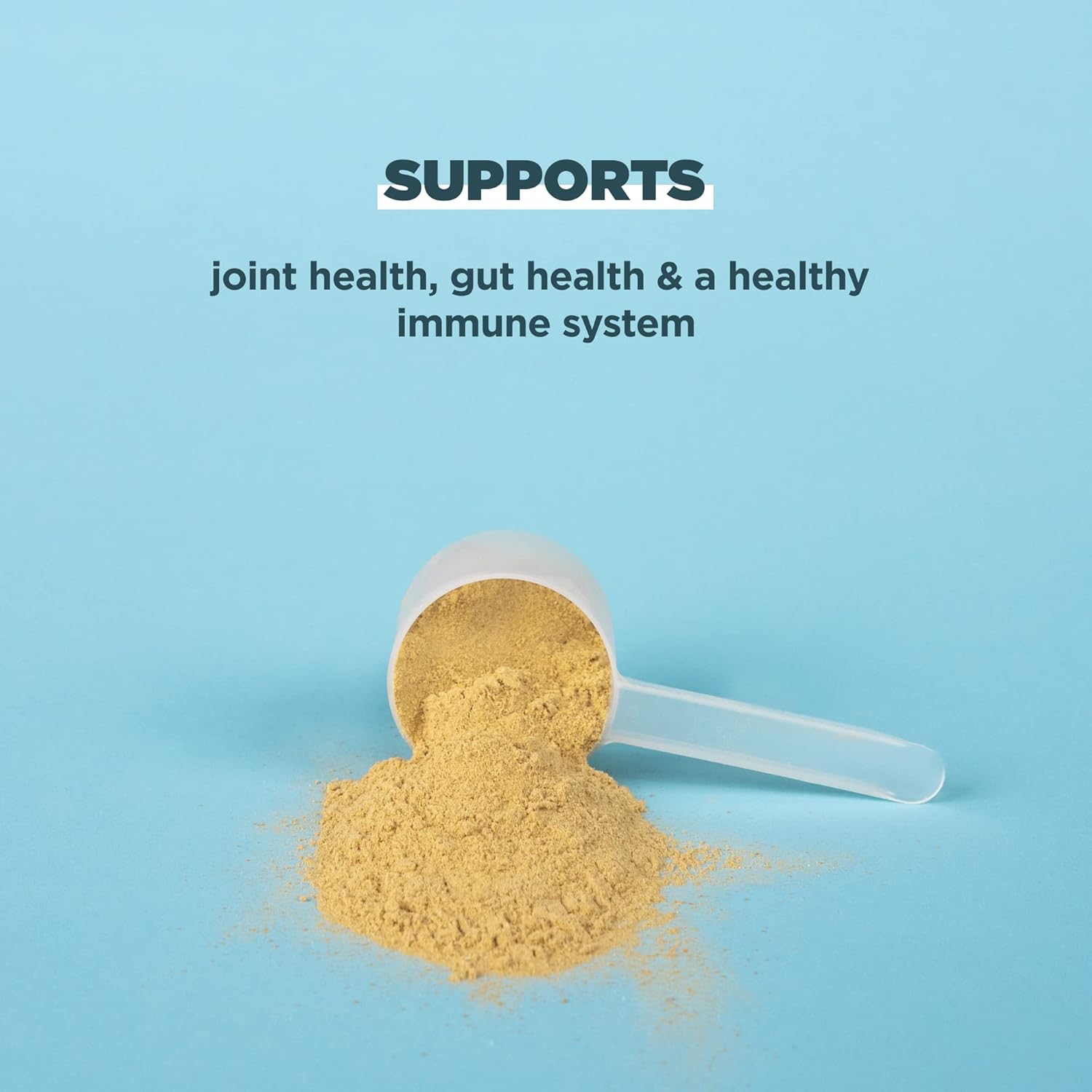 Vanilla Bone Broth Protein Powder: 20g Protein, 40 Servings, Gluten-Free Collagen Peptides for Shakes - BoostGo Australia