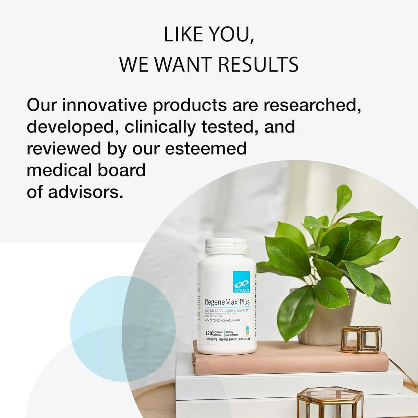 Vanilla Flavored Dairy-Free Immunoglobulin Powder with IgY Max for Intestinal Health and Muscle Recovery (6.46 oz)