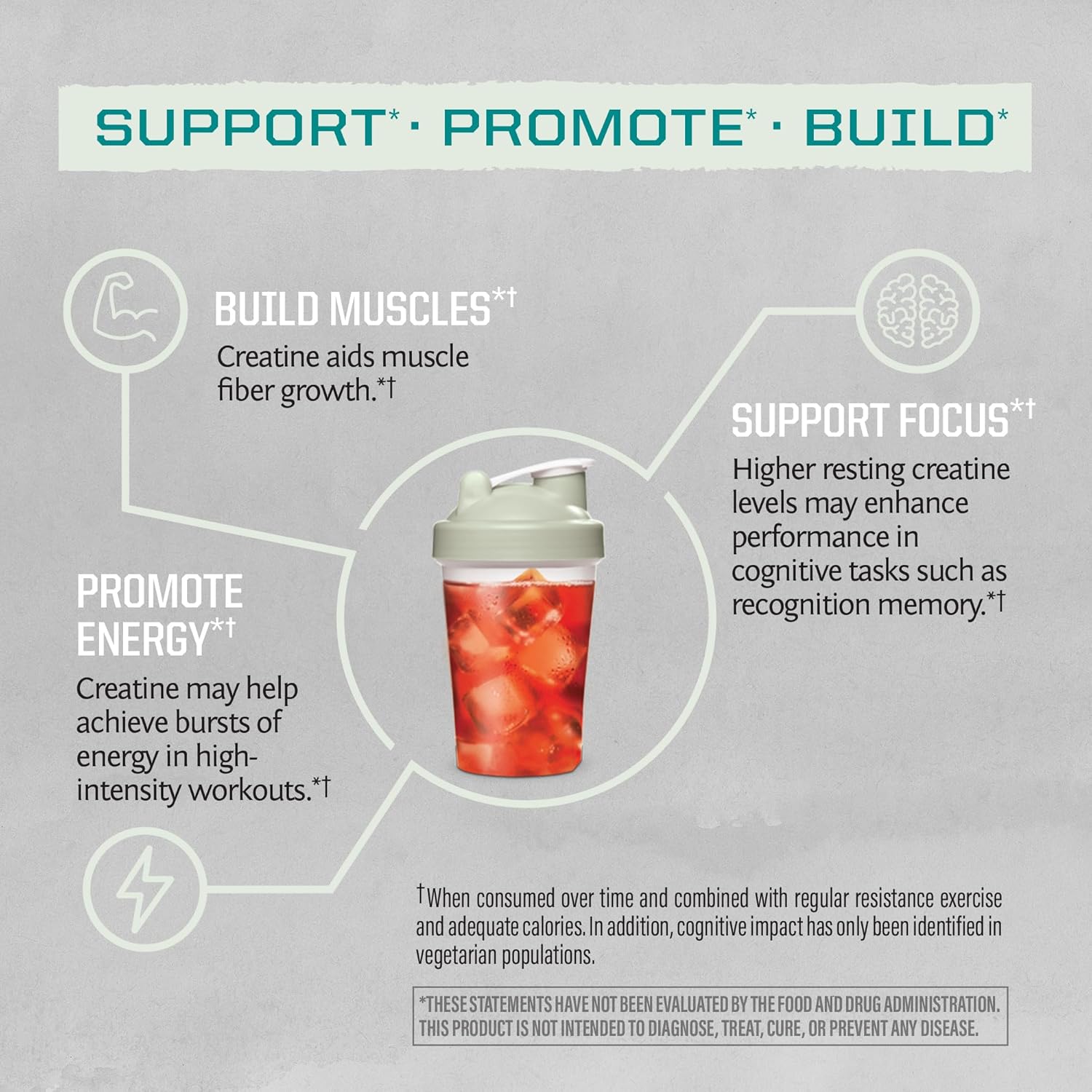 Vanilla Flavored Plant-Based Protein Powder with Creatine Monohydrate - 45 Servings Protein, 60 Servings Creatine