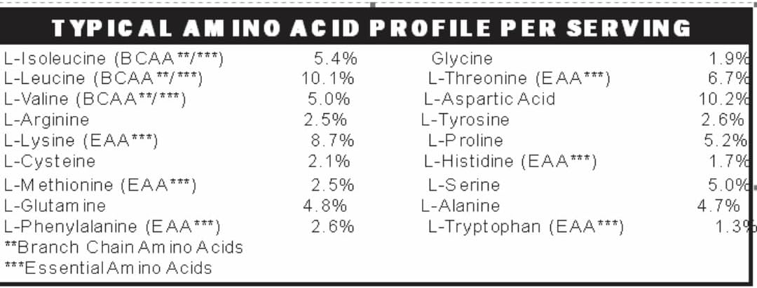 Vanilla Low FODMAP Elemental Diet Protein Powder with ProHydrolase Digestive Enzymes