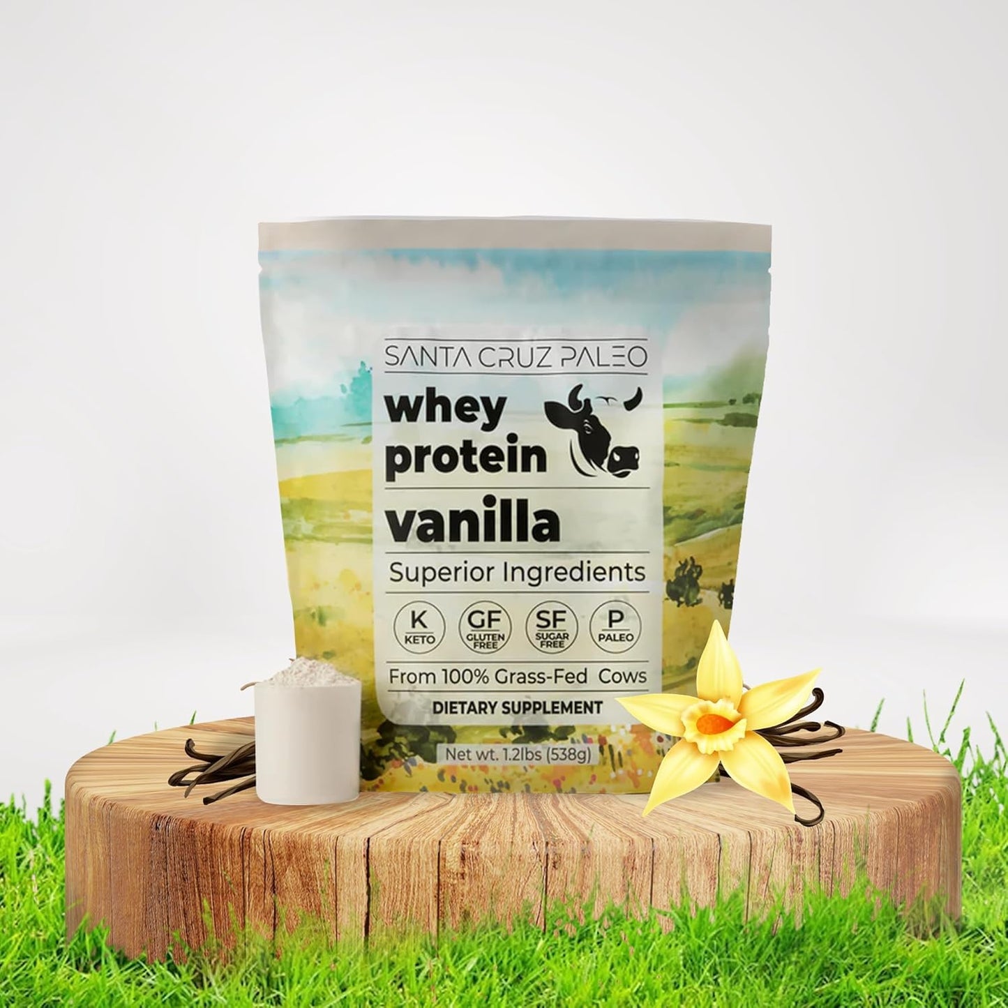 Vanilla Santa Cruz Paleo Whey Protein Powder - 20g Grass Fed Isolate, Gluten Free, Keto, Sugar Free - Natural Post Workout Muscle Support - 20 Servings, 1.2lb Bag