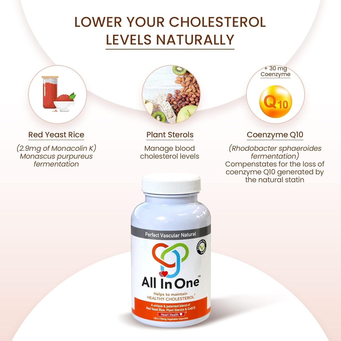 Vascular Health Supplement with Red Yeast Rice, CoQ10, and Plant Sterols - Supports Heart Health and Blood Circulation - 120 Capsules