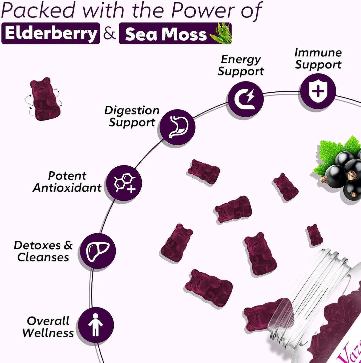 Vazatisi Blueberry Elderberry Sea Moss Gummies with Apple Cider Vinegar & Vitamins for Women, Men & Kids - 60 Ct