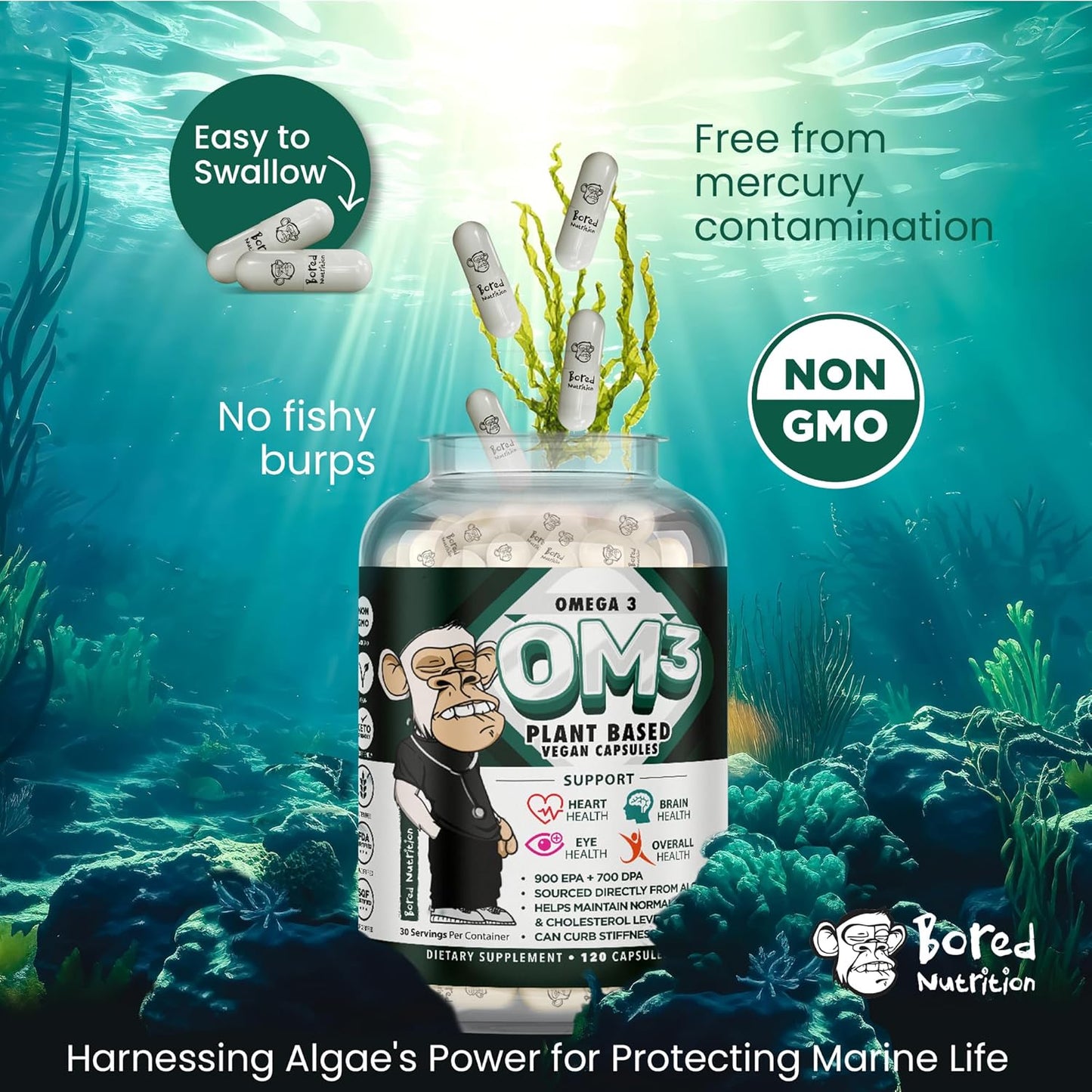 Vegan Algae Omega 3 Supplement - Plant Based DHA & EPA - Heart, Brain, Joint Health - 120 Capsules