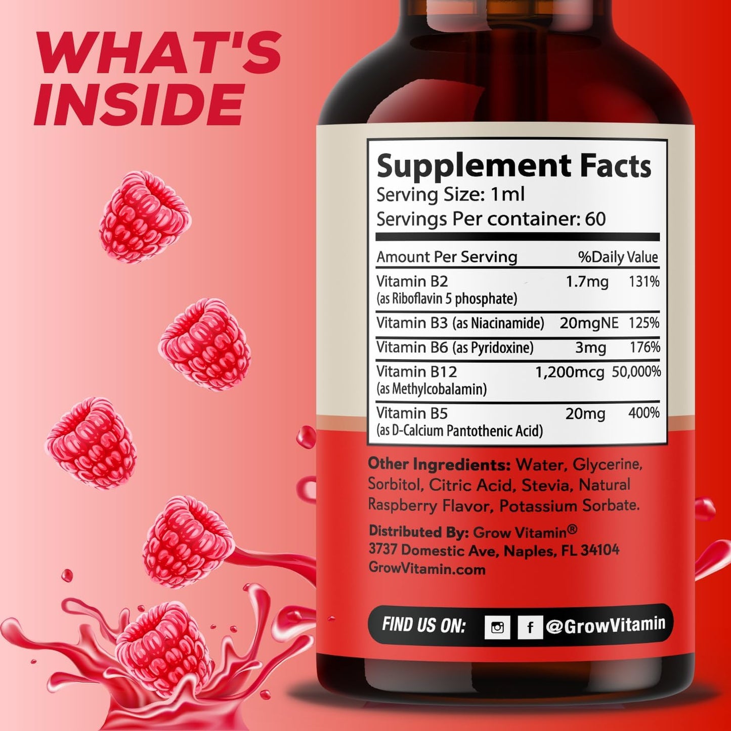Vegan B12 Complex Liquid Drops - Premium Methylcobalamin Supplement for Hair, Skin, Nails, Energy, Immune System & Mental Focus