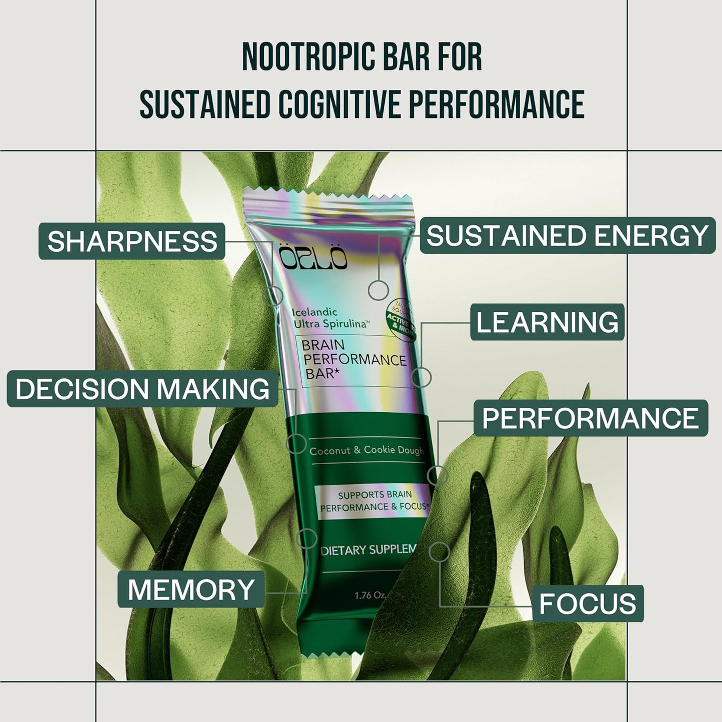 Vegan Brain Performance Protein Bars with L-Theanine, Lions Mane, Spirulina - Gluten Free Energy Snack for Focus, Memory, Workout Recovery (12 Bars)