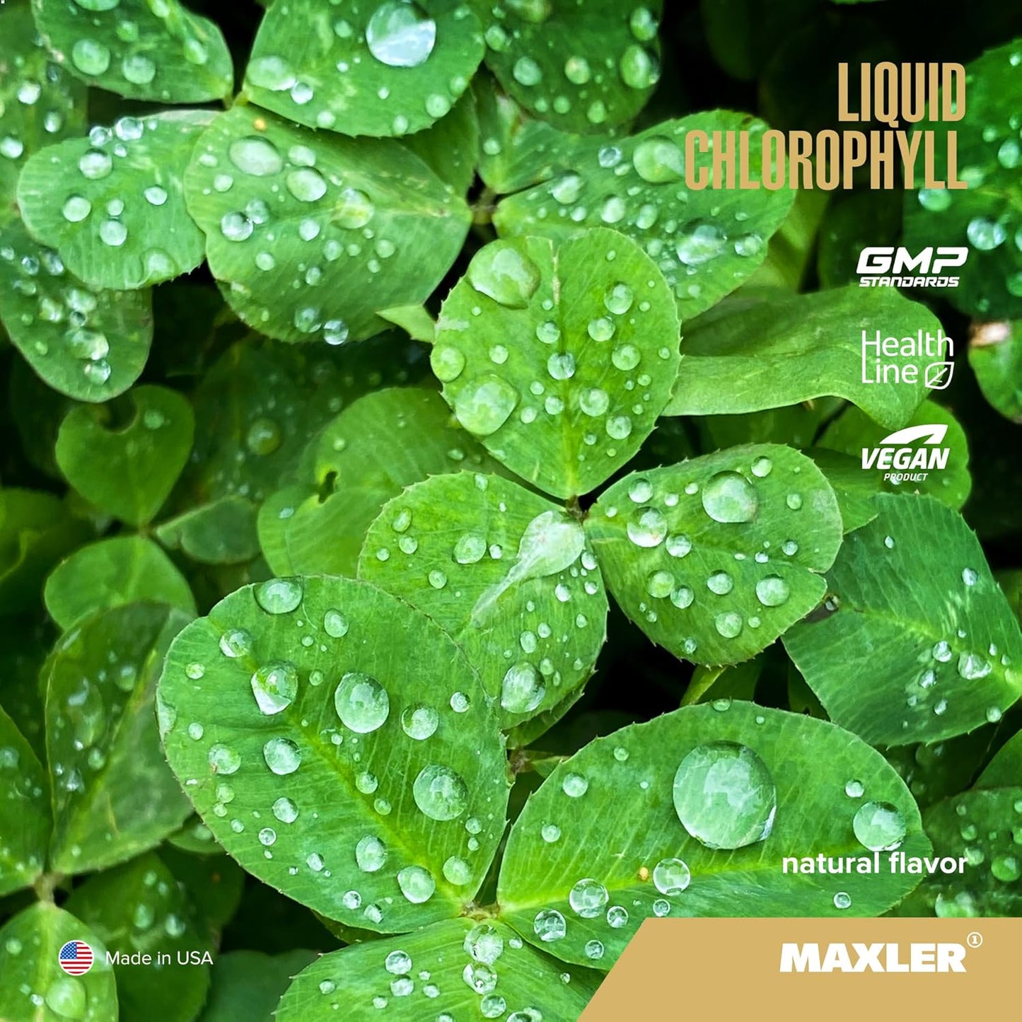 Vegan Chlorophyll Liquid Supplement for Body Odor & Bad Breath - Natural Flavor - 132 mg Chlorophyllin per Serving - 15.2 fl oz