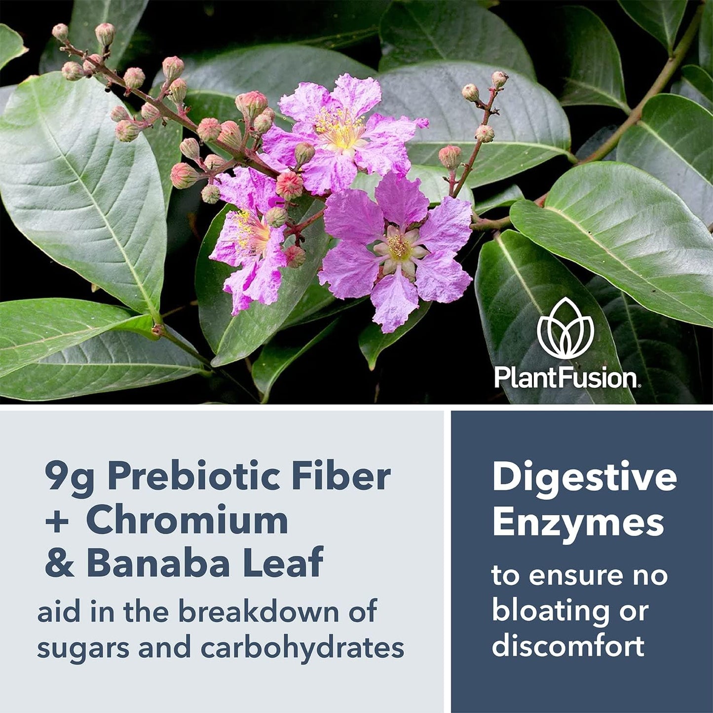 Vegan Chocolate Brownie Plant-Based Protein Powder with Prebiotic Fiber & Superfoods - 1.85 lb