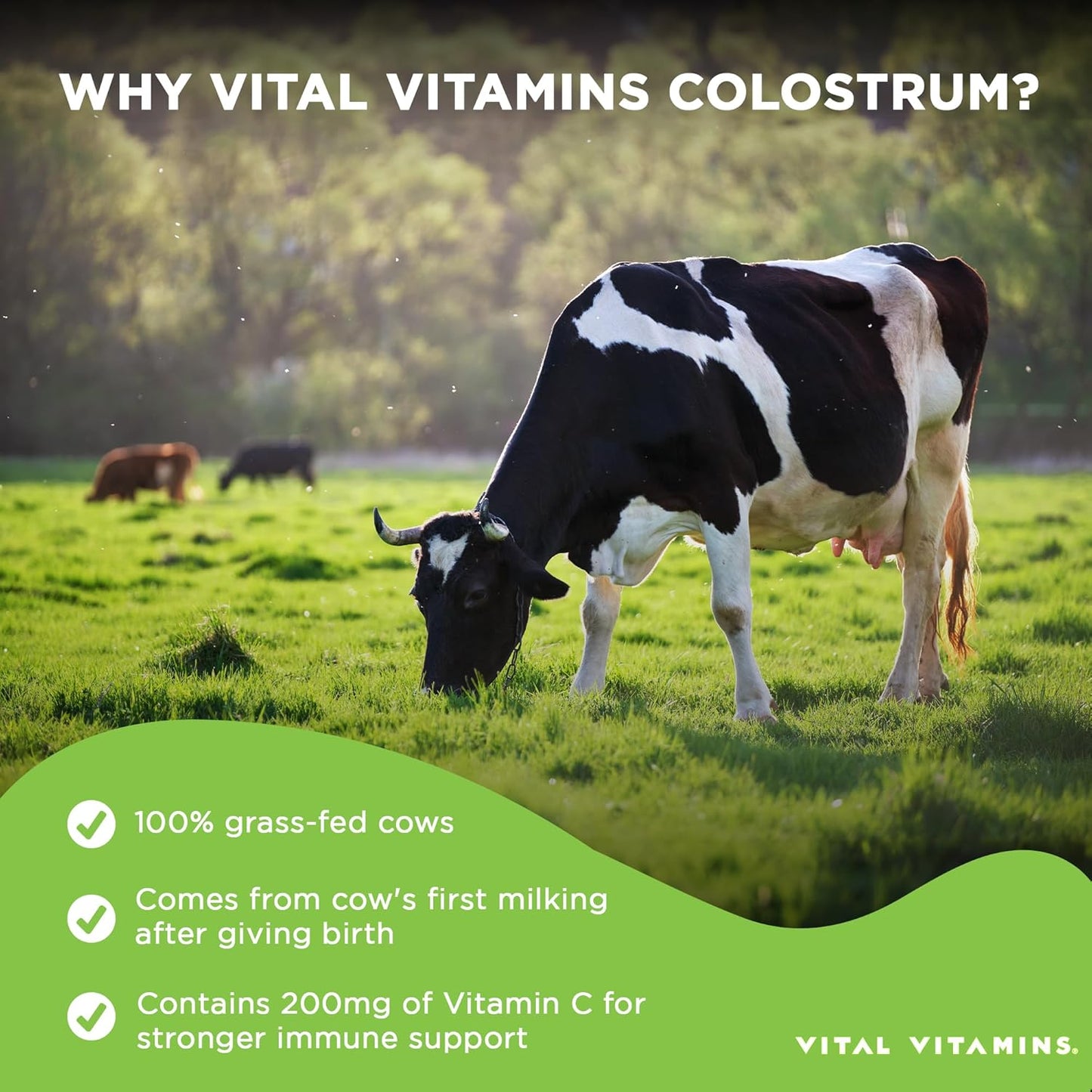 Vegan Collagen Booster and Colostrum Capsules for Vital Vitamins Supplement