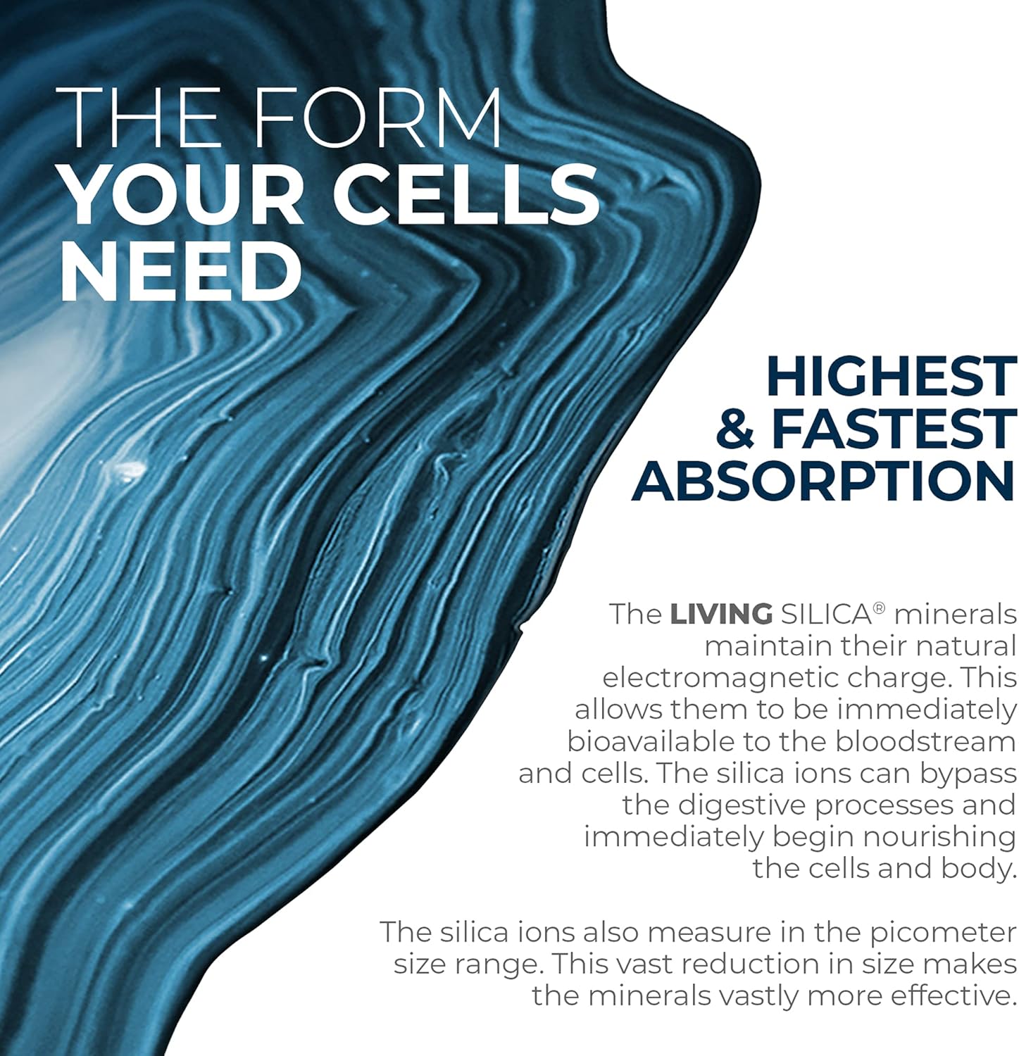 Vegan Collagen Booster Drink for Healthy Joints, Skin, Hair & Nails | Orgono Living Silica Liquid Formula for Collagen & Elastin Production