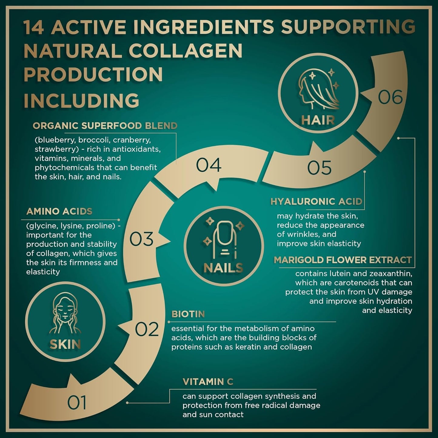 Vegan Collagen Builder & Dental Probiotics Bundle for Fresh Breath - WILD FUEL