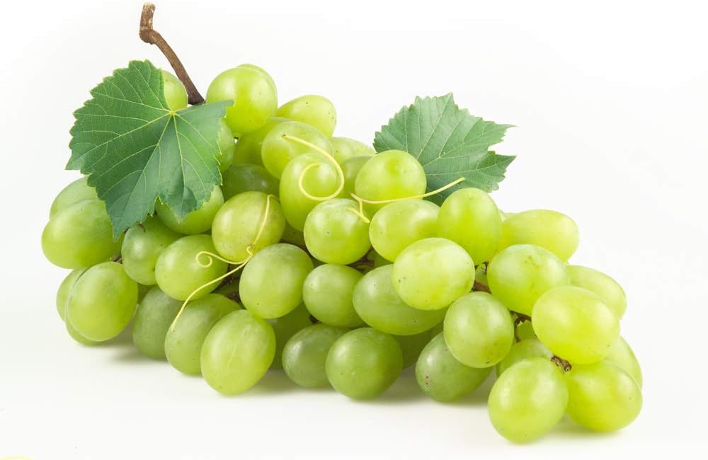 Vegan Collagen Peptide Stick - Green Grape Flavor | Hair, Skin, Nails Support | Vitamins, Minerals, Antioxidants | 10 Pack