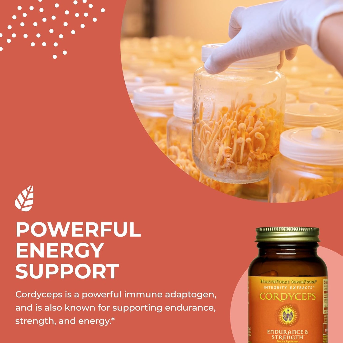Vegan Cordyceps Capsules - 90 Capsules by HealthForce SuperFoods - BoostGo Australia