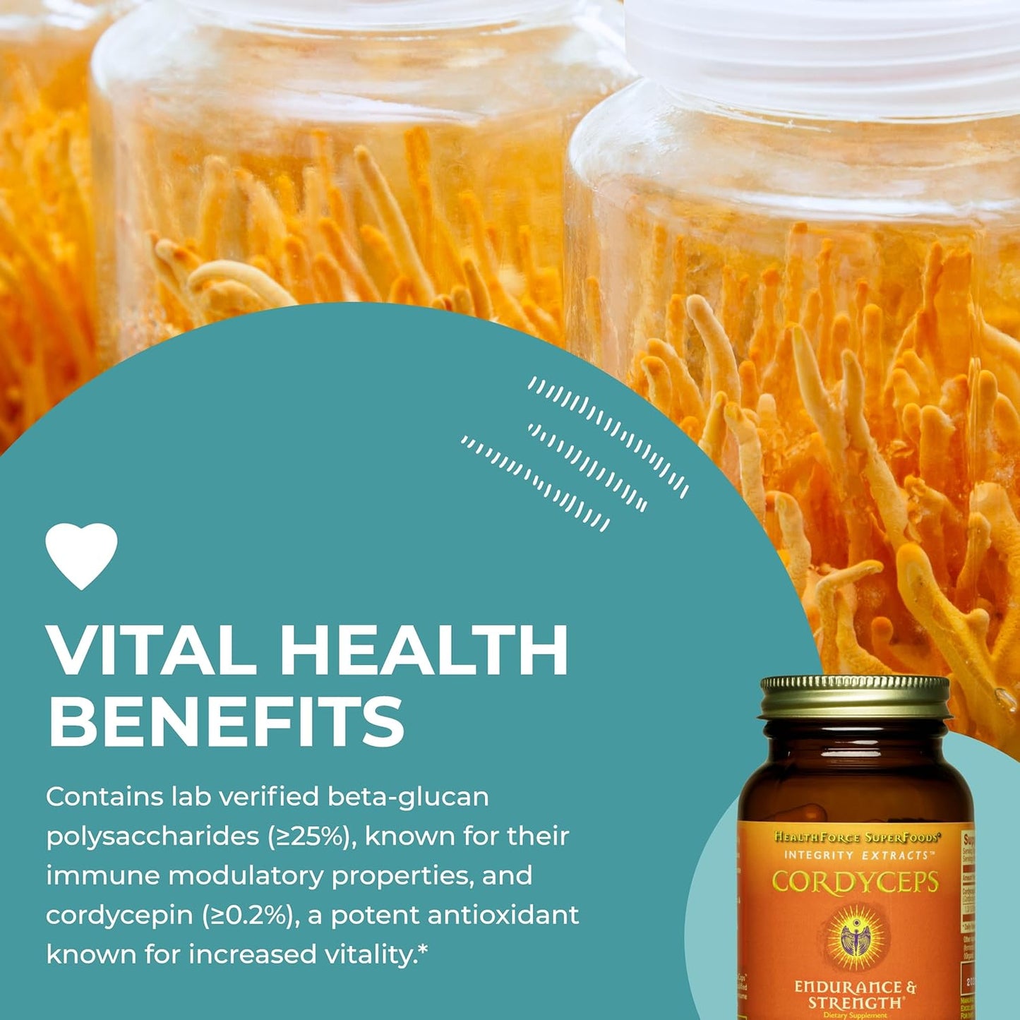 Vegan Cordyceps Capsules - 90 Capsules by HealthForce SuperFoods - BoostGo Australia