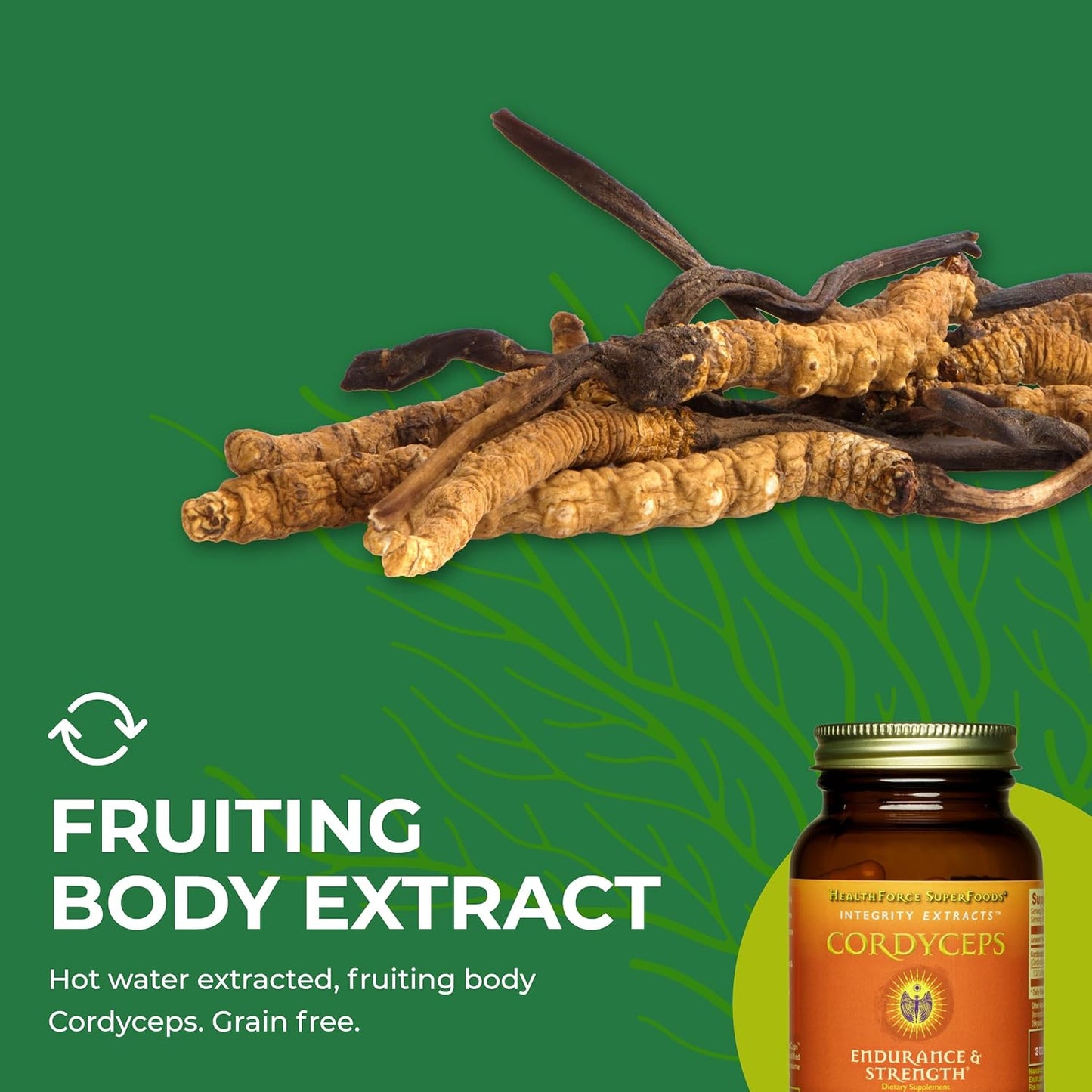 Vegan Cordyceps Capsules - 90 Capsules by HealthForce SuperFoods - BoostGo Australia
