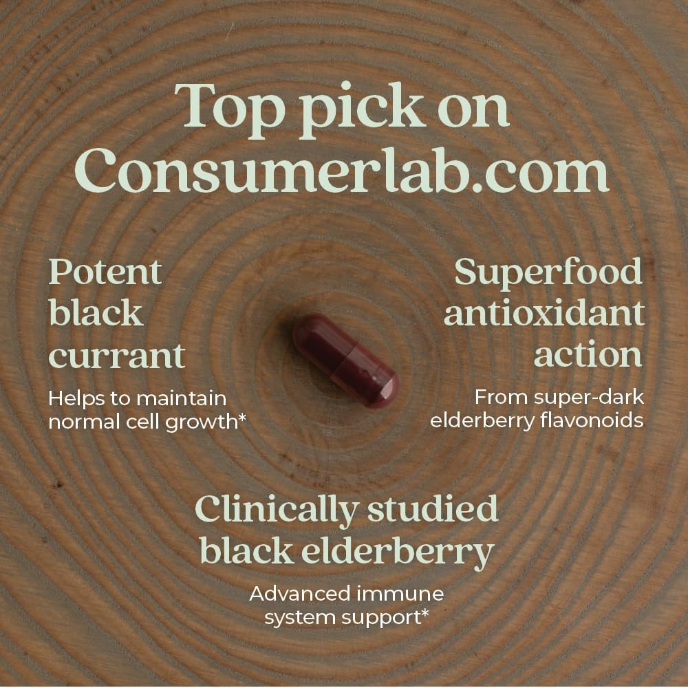 Vegan Elderberry Capsules with 64x Concentrated Black Elderberry for Immune Support - Non-GMO, Gluten Free, Vegan - 30 Count